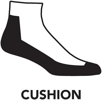 Darn Tough Men's Run 1/4 Ultra-Lightweight with Cushion Sock (Style 1040)