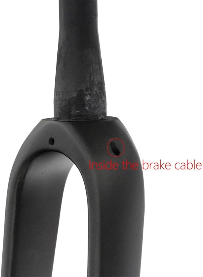 Carbon Road Bike Rigid Fork 700C Gravel Fork Thru Axle 12x100mm Disc Brake Bike Fork 1-1/8 Straight/Tapered Tube Front Fork with Water Bottle Holder Hole(Glossy Black,Straight)