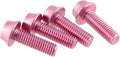 Wolf Tooth Precision Anodized Water Bottle Cage Bolts