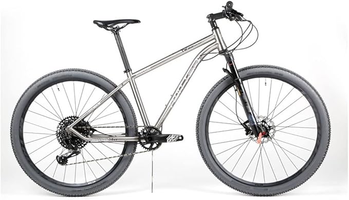 29er Mountain Bike Frame Lightweight Titanium Alloy Bike Frame 15.5''/17''/19'' 135mm QR Rigid Frame Disc Brake Internal Routing(17'')