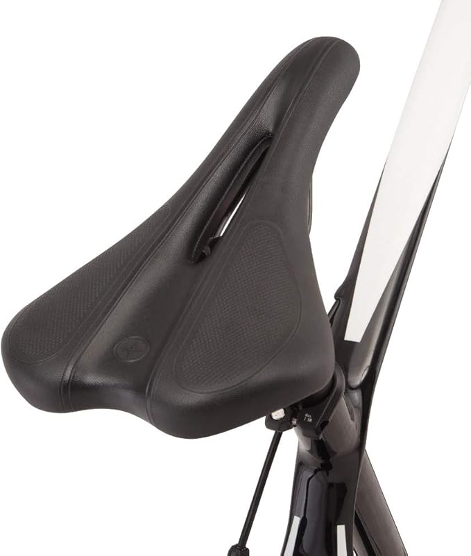Schwinn Fastback Road Bike, Performance Road Bike for Advanced to Expert Riders, 22-Speed Drivetrain with 700c Wheels, Aluminum or Carbon Fiber Frame Options