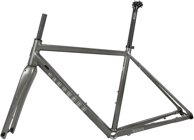 Gravel Road Bike Frameset 700C Aluminum Alloy Disc Brake Frame 44/47/50/53/56cm Carbon Fiber Fork Thru-Axle F100*12mm R142*12mm Internal Routing
