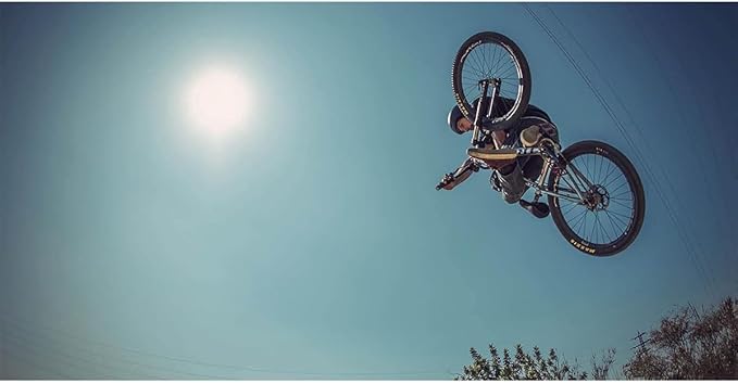 TSG Evolution Bike & Skate Helmet | for Cycling, BMX, Skateboarding, Rollerblading, Roller Derby, E-Boarding, E-Skating, Longboarding | Triple Certified, Swiss Design