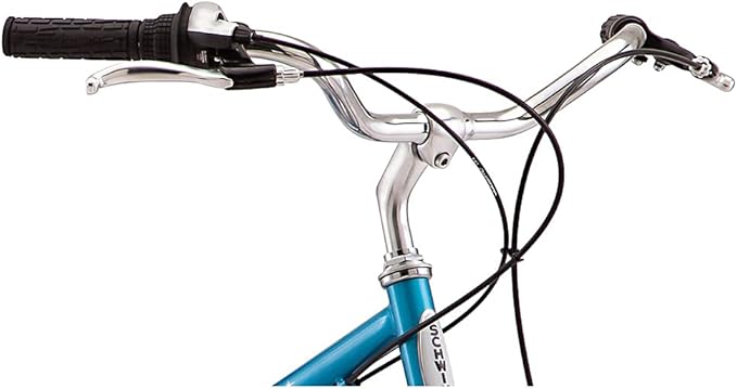 Schwinn Twinn