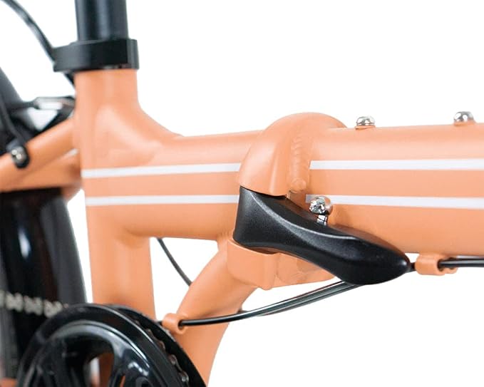 ZiZZO ZiZZO Forte | Heavy Duty, Lightweight, Genuine Shimano, with Fenders, Rack, 300 lbs Weight Limit