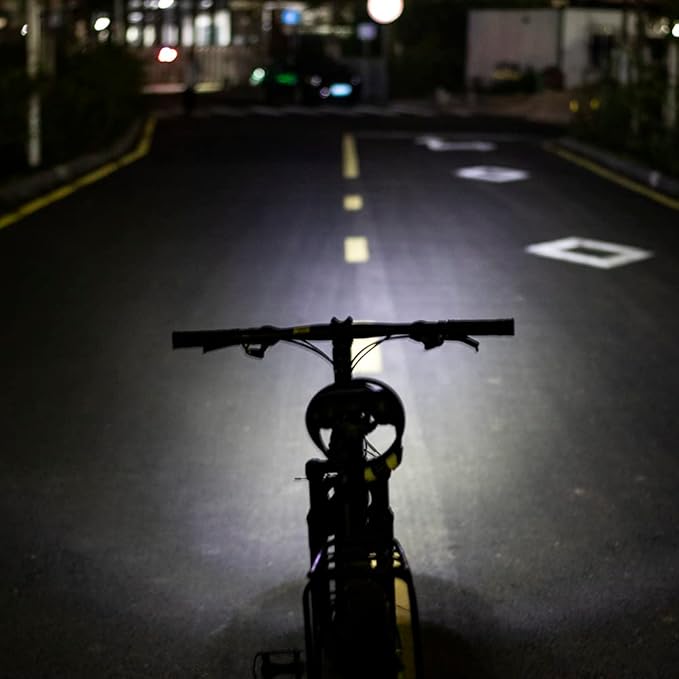 36V 48V Ebike Light Kit, Electric Bike Headlight with Horn, Ebike Tail Light with Turn Signal, Fits Rear Rack Mount Holes 50mm 80mm, Not Compatible with Waterproof Controller (with Brake Light)