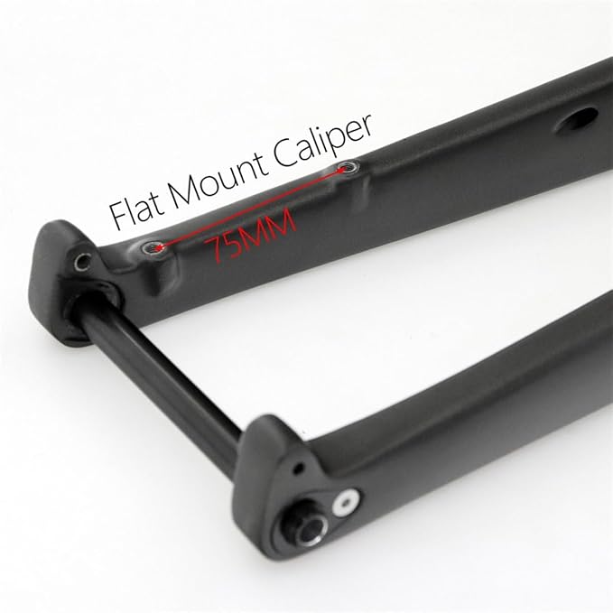 Carbon Road Bike Rigid Fork 700C Gravel Fork Thru Axle 12x100mm Disc Brake Bike Fork 1-1/8 Straight/Tapered Tube Front Fork with Water Bottle Holder Hole(Glossy Black,Straight)