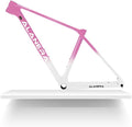 29er Mountain Bikes Frame XS/S/M/L Carbon Disc Brake MTB Frame 12 * 148mm Boost Thru Axle Frame Internal Routing