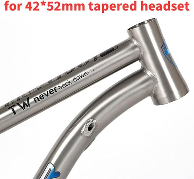 Bike Frame 27.5/29er Mountain Bike Frame 15.5''/17''/19'' Lightweight Titanium Alloy Rigid Frame Disc Brake Thru Axle 12x142mm XC AM(29 * 19'')