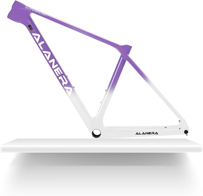 29er Mountain Bikes Frame XS/S/M/L Carbon Disc Brake MTB Frame 12 * 148mm Boost Thru Axle Frame Internal Routing