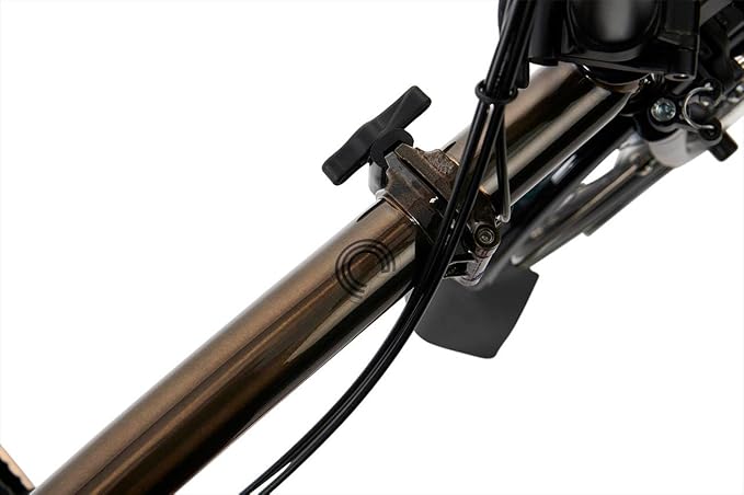 Brompton C Line 6 Speed Folding Bike (Black Lacquer, Low)