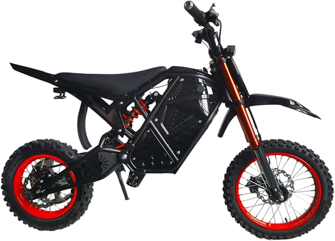 Electric Dirt Bike 3000W for Adults/Teens, 220Nm High-Torque Brushless Motor, 45° Slope Climbing, 38 MPH Off-Road Motorcycle with 48V 21Ah Removable Battery & Hydraulic Brakes