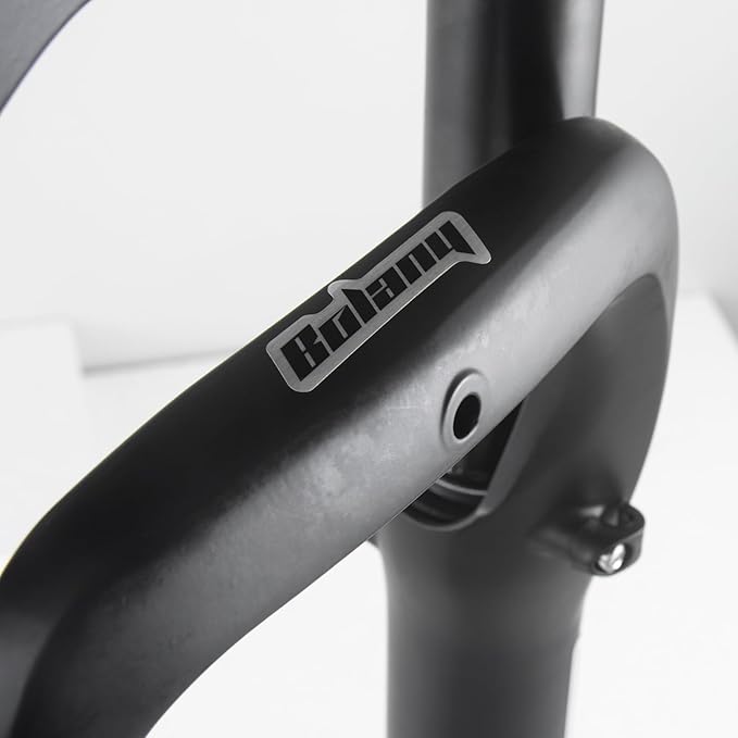 BOLANY Fat Tire MTB Suspension Fork, 20/26 x 4.0 inch 1 1/8 Straight Tube 100mm Travel Spacing Hub 135mm Manual Lockout 9mm QR Oil Spring Front Forks for Snow Beach XC Mountain Bike