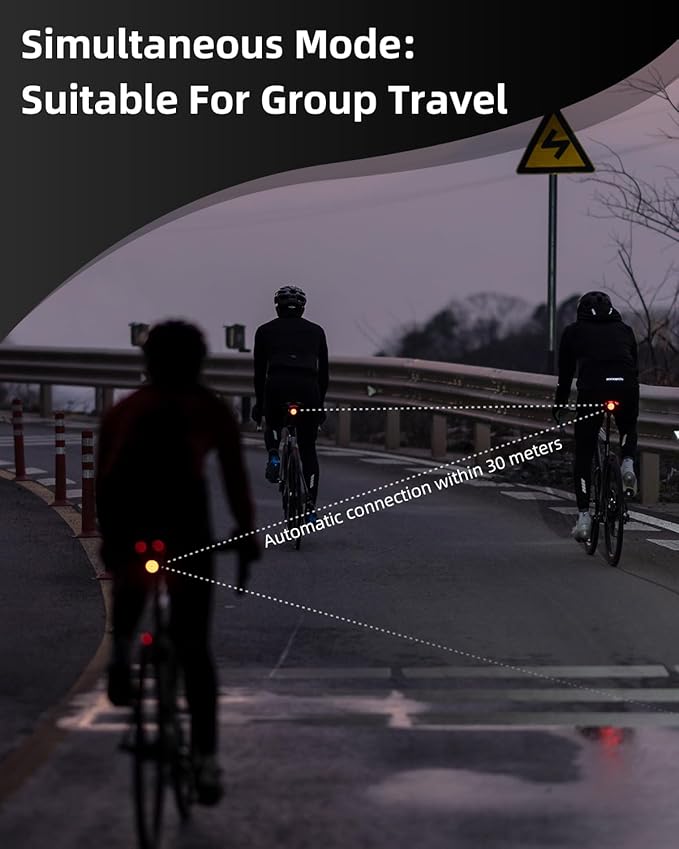 ROCKBROS Bike Tail Light Smart Brake Sensing Rear Bike Light Led Bike Lights,Type C USB Rechargeable,IPX6 Waterproof Bike Light for Night Riding