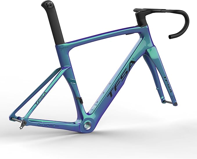 Carbon Fiber Track Frame 700C 49cm 52cm 54cm 56cm Fixed Gear Bike Frameset Road Bike Frameset Quick Release Frame F12x100mm R12x142mm QR Internal Routing(Green 2,52cm)