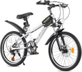 Bueuwe 20 24 Inch Kids Mountain Bike, Children Bicycles for Boys and Girls Ages 6-12, 7 Speed Teenager Bikes with Disc Brakes, Adjustable Handlebars and Seat, Kickstand (Silver, 24 Inch)