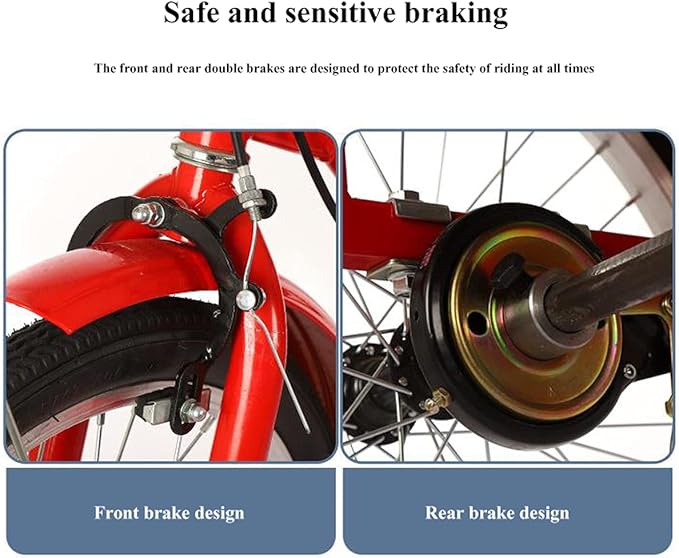 Three Wheel Bike Outdoor 20 Inch Adult Tricycle Trike Bike Cruiser with Rear Bike Basket for Dogs Or Groceries Single Speed Hybrid Commuter Exercise Bike for Women Men Cycling Pedalling
