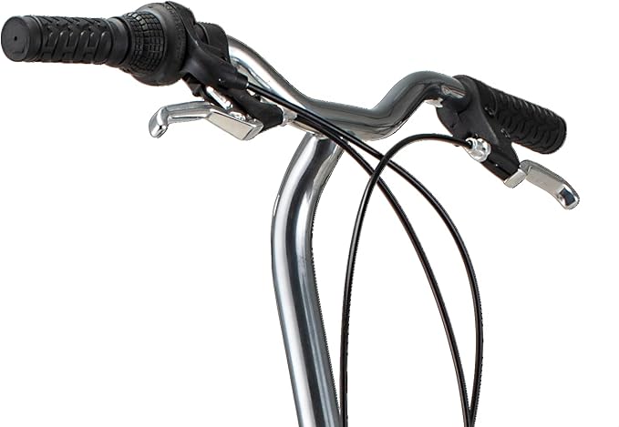 Schwinn Loop