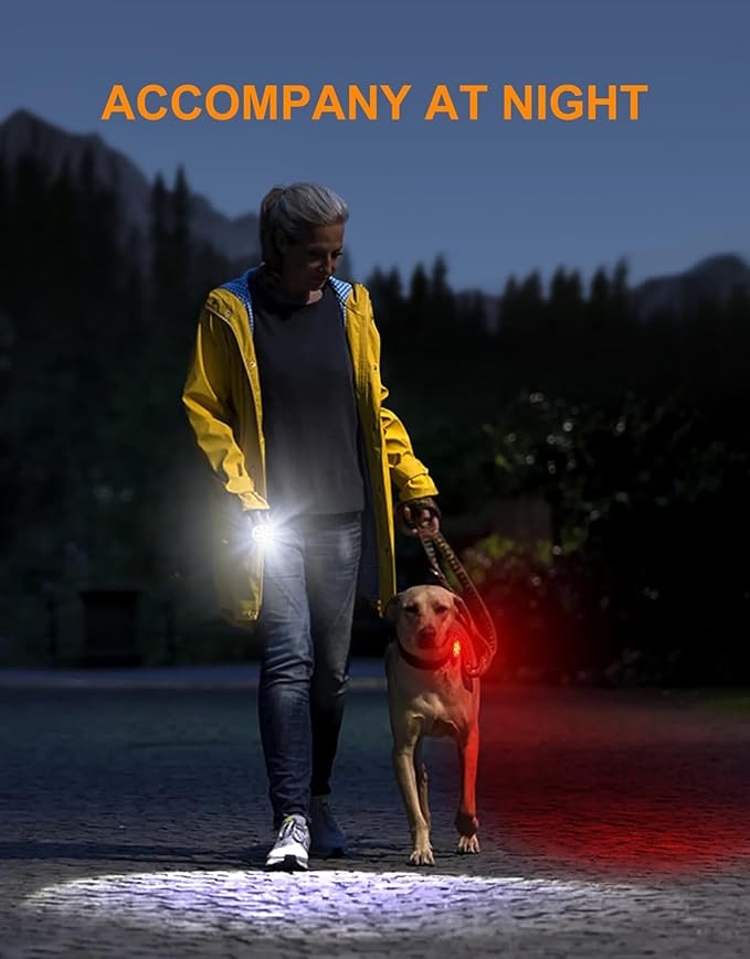 2026 Ultra Slim Bike Lights with Reflectors, 8+6 Modes Bike Headlight and Tail Light Assemblies Motorcycle, IP65 Waterproof & Dual USB-C 1-2 Hrs Fast Charge Bike Lights for Night Riding Cycling