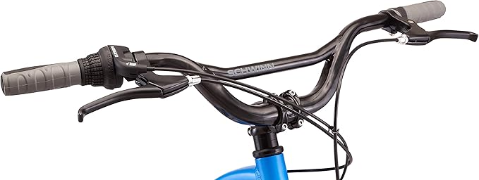 Schwinn Vega