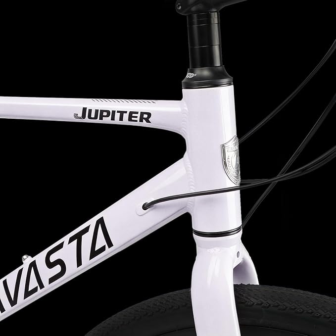 AVASTA Jupiter 700C Road Adult Step-Over Hybrid Cycling Bike Bicycle, Aluminum Frame, 21-Speed, Dual Disc Brakes, Multpile Colors for Men Woman Male Female