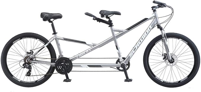 Schwinn Twinn