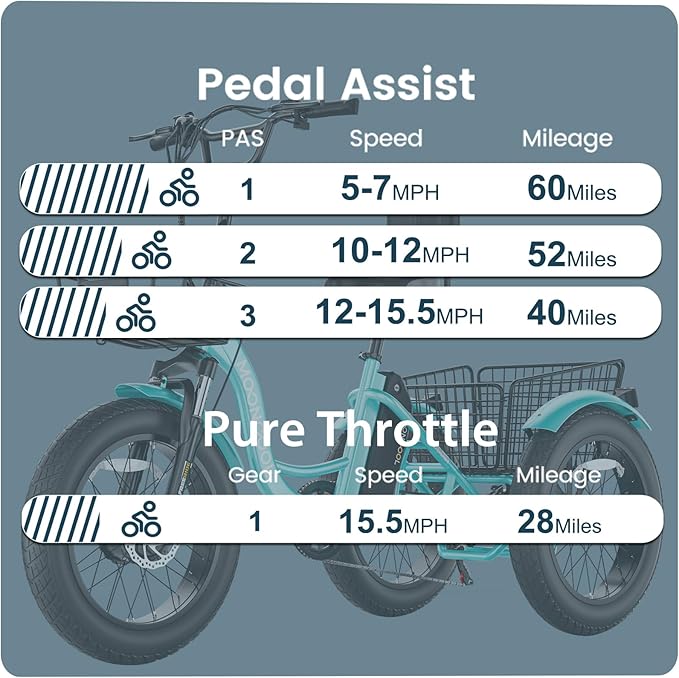 MOONCOOL 1000W 4" Fat Tire Electric Tricycle for Adults, 48V 14.5Ah All-Terrain Aluminum 20" E-Trike, Front Suspension, 7-Speed, 400lbs Max Payload