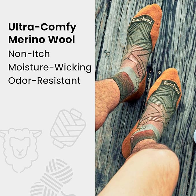 Smartwool Men's Bike Targeted Cushion Cold Weather Crew Socks