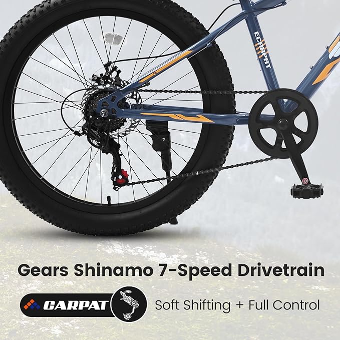 20/24/26 Inch Fat Tire Mountain Bike Variable Speed Dual Disc Brake Kids Adult Free Return