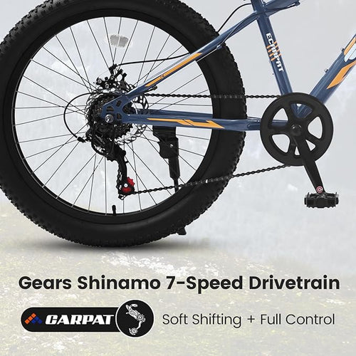 20/24/26 Inch Fat Tire Mountain Bike Variable Speed Dual Disc Brake Kids Adult Free Return