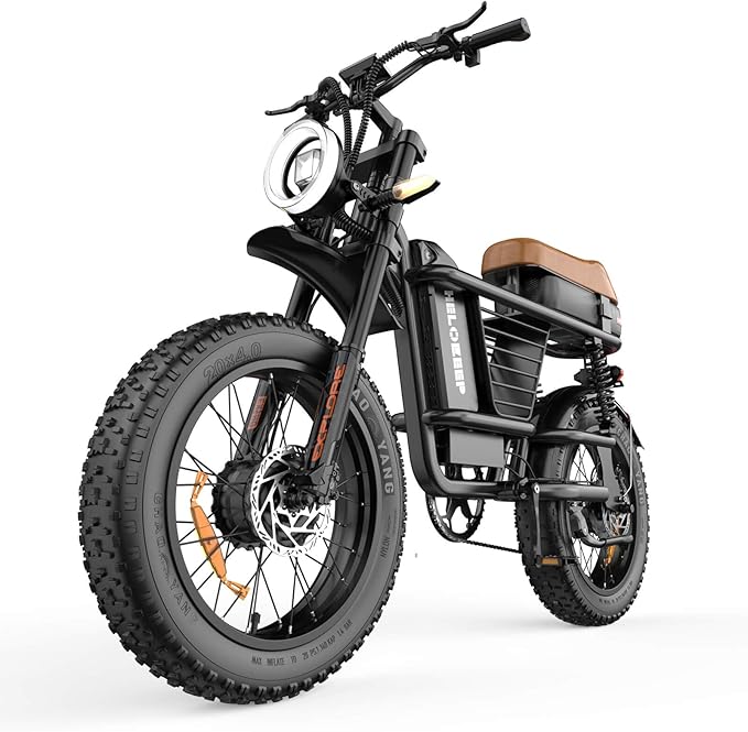 Electric Bike for Adults - 16/20 Inch Fat Tire Ebike, 750W/Peak 1500W Motor Ebike, 48V15.6AH Detachable Battery, 4 Riding Modes Electric Dirt Bike