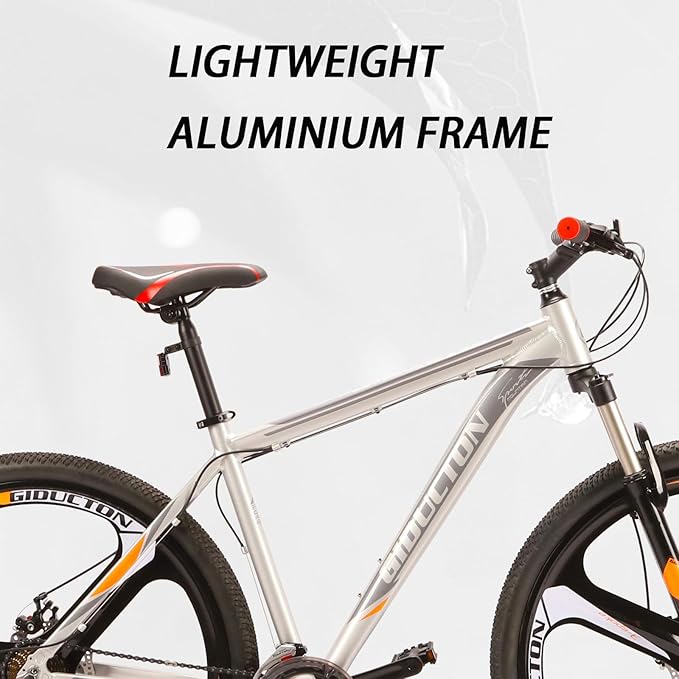 EUROBIKE 29 inch Mountain Bike,21 Speed Bikes for Men, Bicycle with Disc Brakes for Men or Women Adults