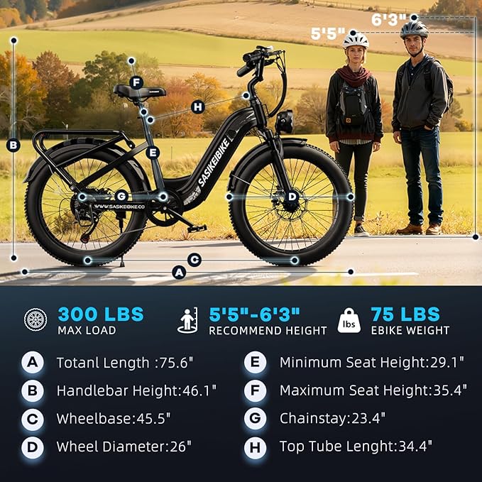 1500W Motor Electric Bike for Adults & Teenager, 48V 20AH Removable Battery Ebike, 24inch Fat Tire Electric Bicycle with 30+MPH, Step-Thru E Bike for Commuting & Mountain, Front Suspension