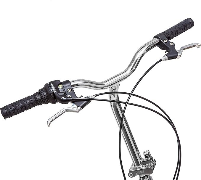 Schwinn Loop