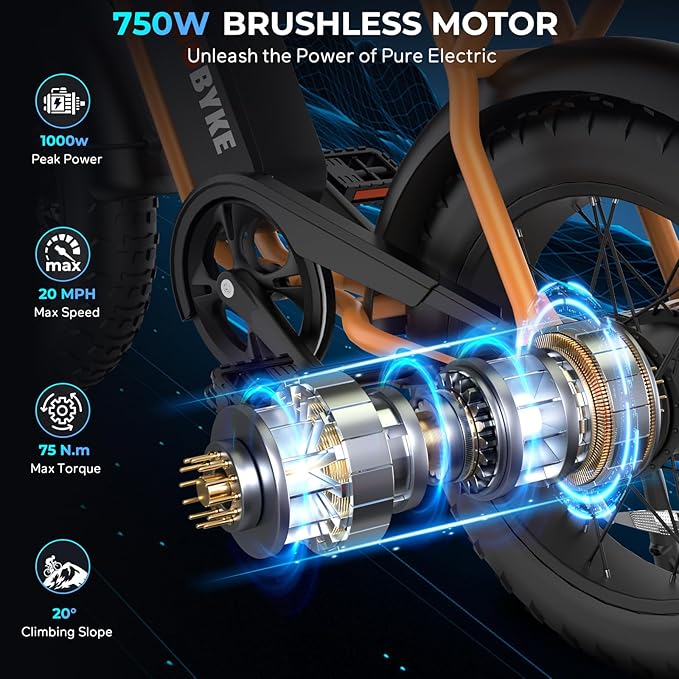 T63 Multi-Color Electric Bike for Adults & Teens, 1000W Peak Motor, 20MPH 468Wh Remove Battery,20"x4"Fat Tire Ebike, Moped Style Comfortable Electric Bikes,Long Seat E Bikes for All-Terrain