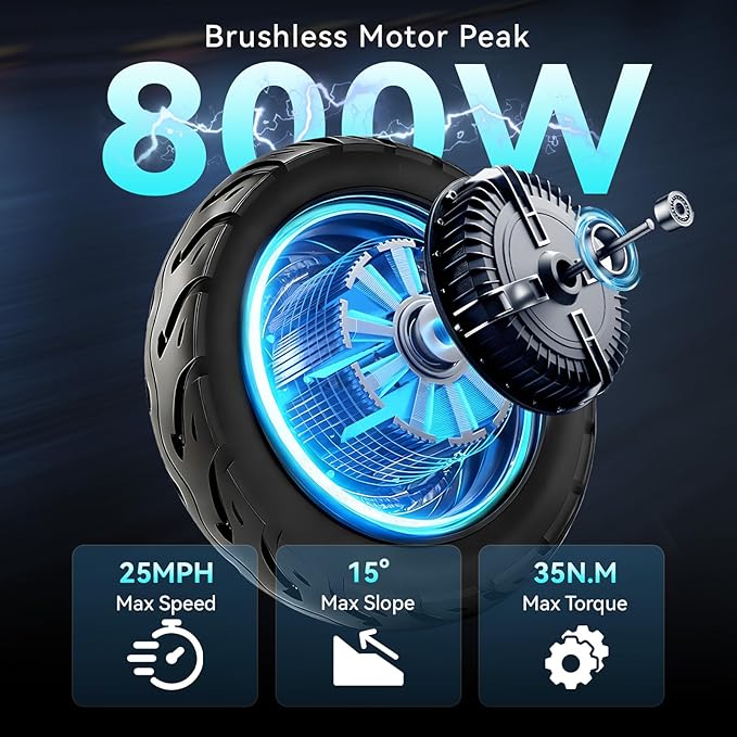 Folding Electric Bike for Adults, 800W Peak Motor 25MPH, Ebike with 48V 14Ah Removable Battery, 35-55 Miles Range, 14'' Adults Electric Bicycles for Men Women Commuter UL 2849 Safety Standard