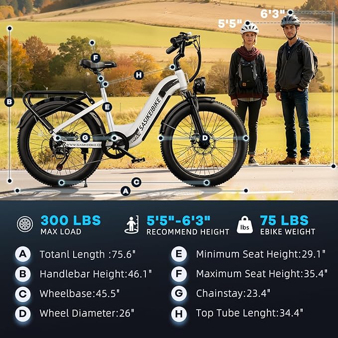 1500W Motor Electric Bike for Adults & Teenager, 48V 20AH Removable Battery Ebike, 24inch Fat Tire Electric Bicycle with 30+MPH, Step-Thru E Bike for Commuting & Mountain, Front Suspension