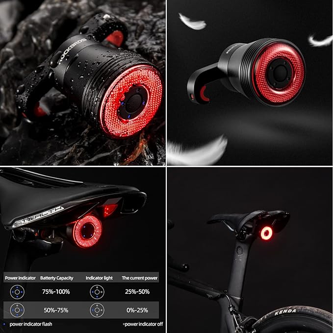 ROCKBROS Bike Tail Light Smart,Brake Sensing Bicycle Rear Lights for Night Ride,Ultra Bright LED Back Lights,Type C USB Rechargeable,IPX6 Waterproof,Cycling Safety Taillight Accessories