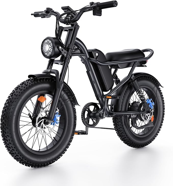 1000W Peak Motor Electric Bike for Adults, 20MPH & 65-Mile Range, 48V 15.6Ah Removable Battery Electric Dirt Bike, with 3 Riding Modes, Dual Suspension Ebike, 20" Fat Tire E-Bike for All-Terrain