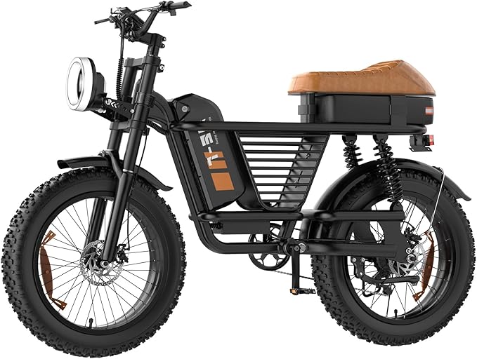Electric Bike for Adults - 16/20 Inch Fat Tire Ebike, 750W/Peak 1500W Motor Ebike, 48V15.6AH Detachable Battery, 4 Riding Modes Electric Dirt Bike