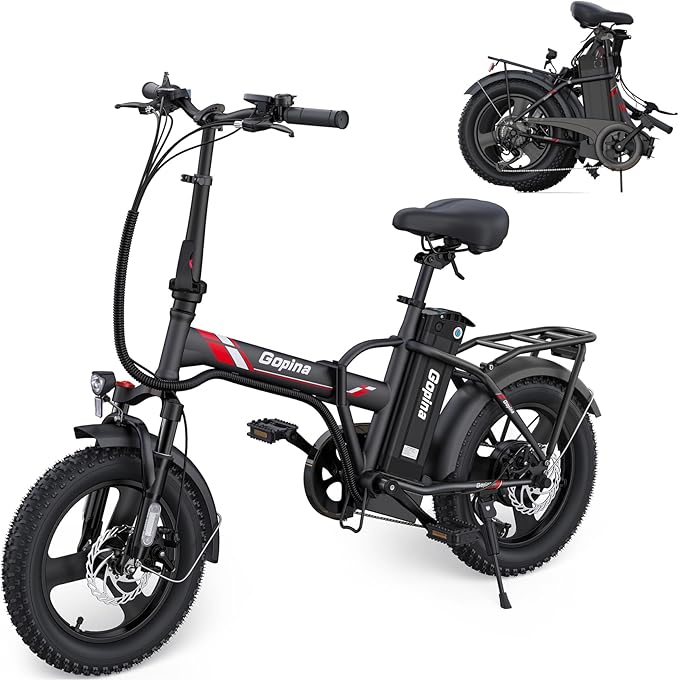 Vivi Gopina Electric Bike, 16" x 3.0 Fat Tire Electric Bike, Peak 500W Step Thru Electric Bicycle, 48V Removable Battery, Up to 40 Miles, LCD Display, 20mph, 7 Speed, SGS Certified to UL2849