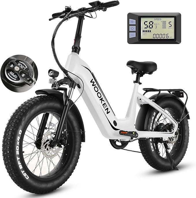 Wooken Electric Bike for Adults, Peak 1000W Motor Ebike,20"x4.0" Fat Tire Electric Bike,48V 624WH Removable Lithium-ion Battery,Up to 60 Miles,Step-Thru Electric Mountain Bike,SGS Certified to UL 2849