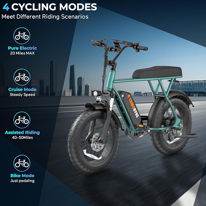 T63 Multi-Color Electric Bike for Adults & Teens, 1000W Peak Motor, 20MPH 468Wh Remove Battery,20"x4"Fat Tire Ebike, Moped Style Comfortable Electric Bikes,Long Seat E Bikes for All-Terrain