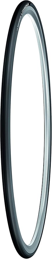 MICHELIN Lithion 2 Road Tire