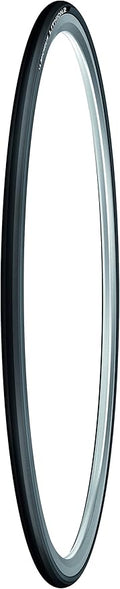 MICHELIN Lithion 2 Road Tire