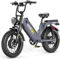ANIIOKI Electric Bike for Adults,70Ah Removable Battery,200+ Miles Long Range,7-Gear Speed All-Terrain E-Bike