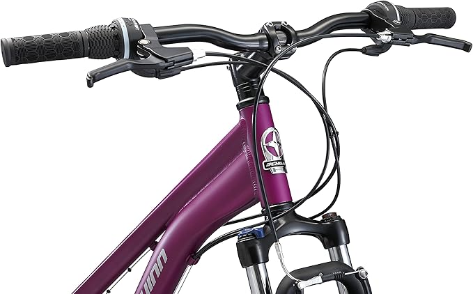 Schwinn GTX Comfort Adult Hybrid Bike, Men and Women, Dual Sport Bicycle, 700c Wheels, Step-Through or Step-Over Lightweight Aluminum Frame