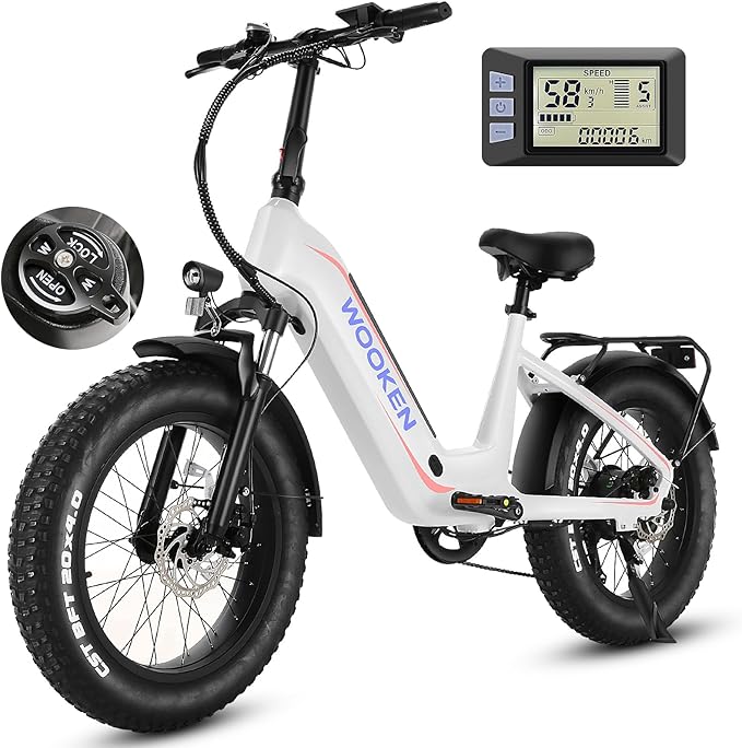 Wooken Electric Bike for Adults, Peak 1000W Motor Ebike,20"x4.0" Fat Tire Electric Bike,48V 624WH Removable Lithium-ion Battery,Up to 60 Miles,Step-Thru Electric Mountain Bike,SGS Certified to UL 2849