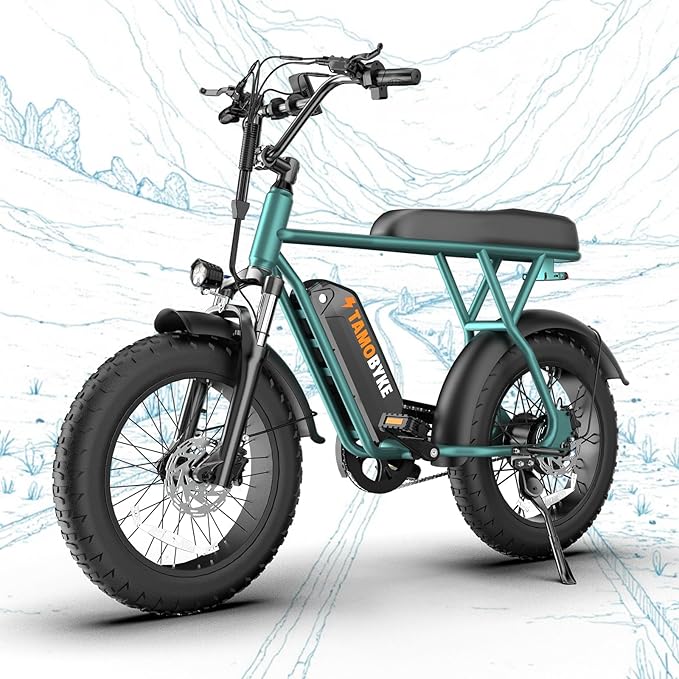 T63 Multi-Color Electric Bike for Adults & Teens, 1000W Peak Motor, 20MPH 468Wh Remove Battery,20"x4"Fat Tire Ebike, Moped Style Comfortable Electric Bikes,Long Seat E Bikes for All-Terrain