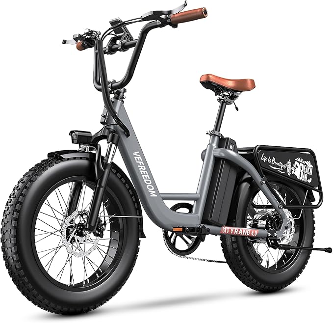 1500W Motor Electric Bike for Adults 80 Miles 30MPH Ebike 20" x 4 Fat Tire 48V 20Ah Removable Battery Mountain E Bike Commuter Front Suspension Bicycles Men Women